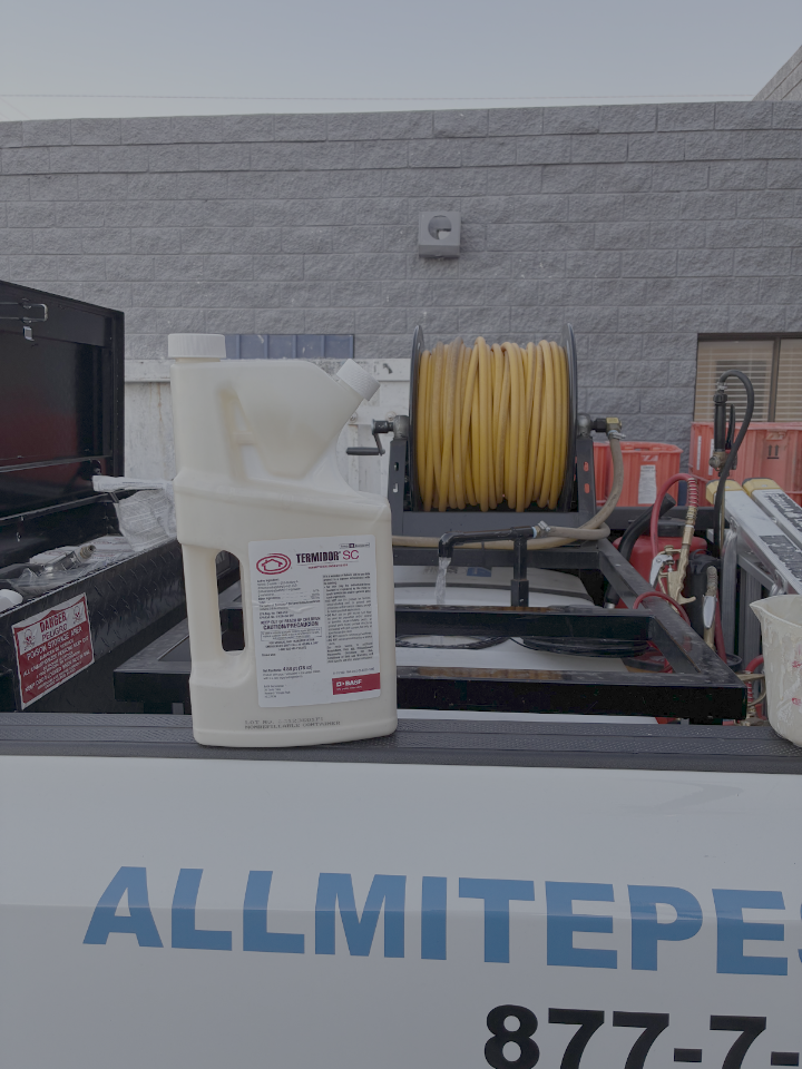 Allmite project